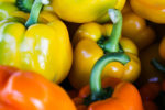 The Reborn Bon Jovi Tour Across Country